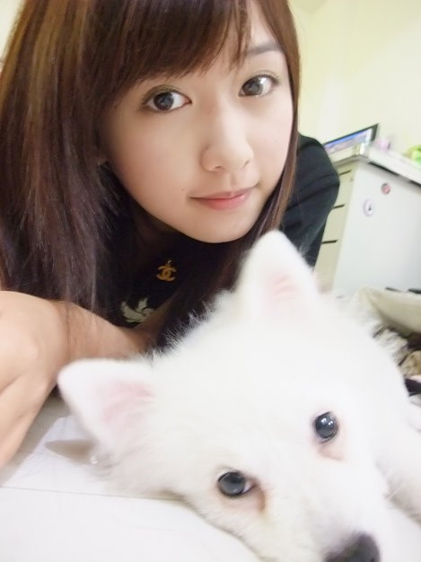 李世民电视剧